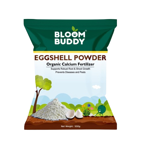 Egg Shell Powder