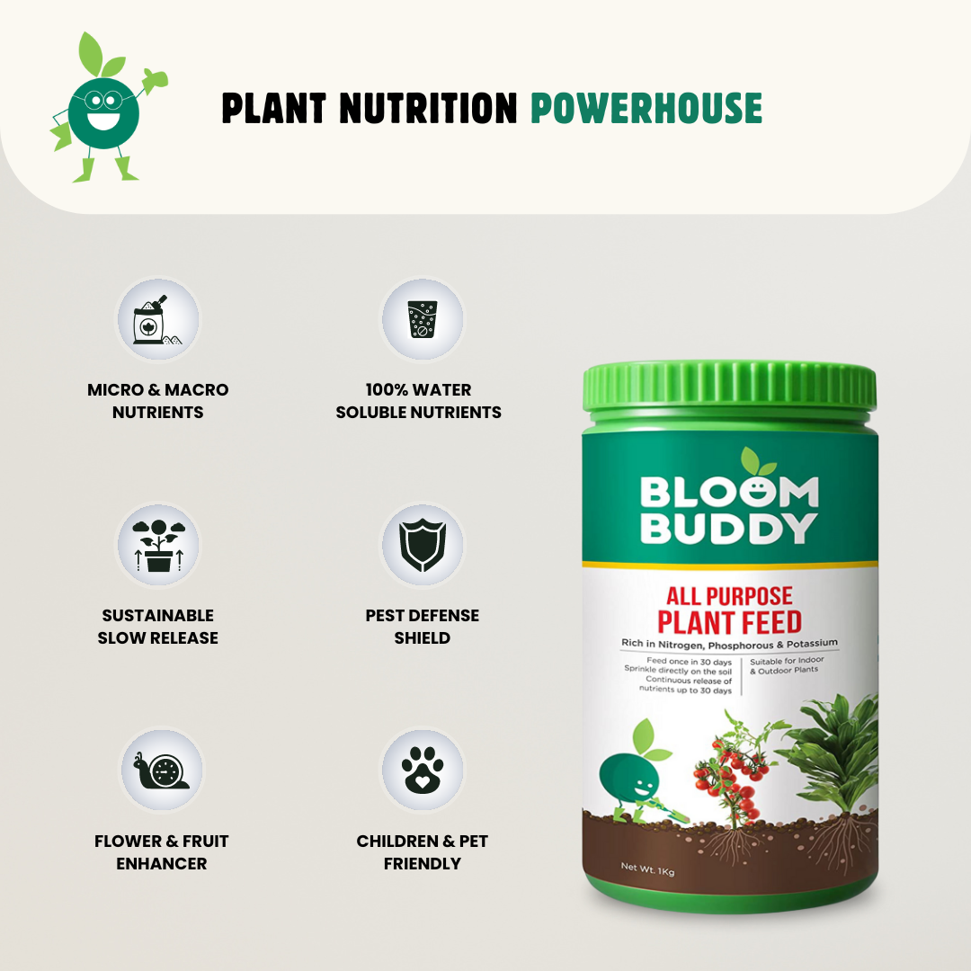 Bloombuddy All Purpose Plant Feed Fertilizer Granules | Hassle-Free Nutrient Boost, Growth Supplement & Complete Plant Food | Enriches Soil with NPK, Micro & Macro Nutrients