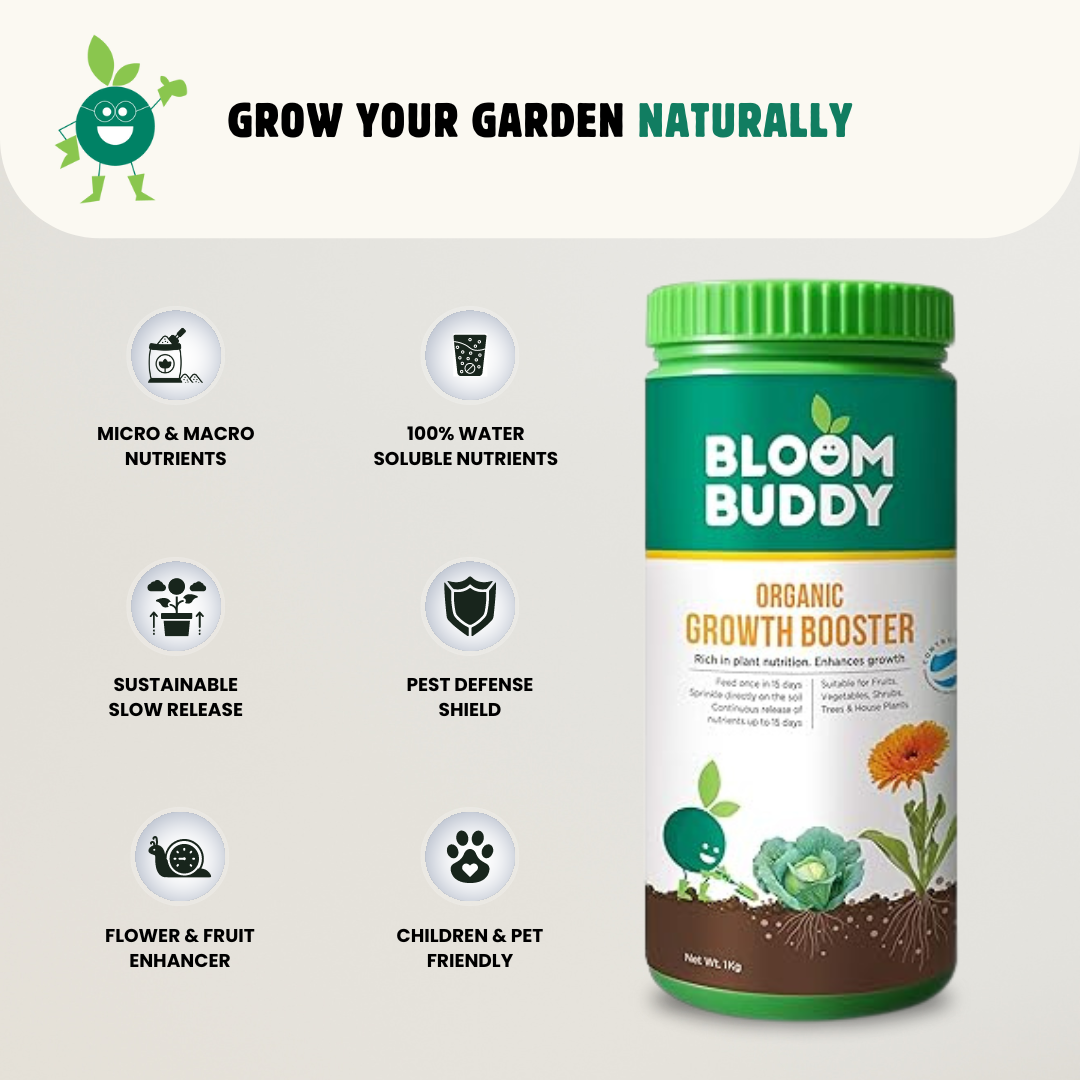 Bloombuddy Growth Booster Fertilizer 1 KG Granules | Home Garden Plants | Indoor & Outdoor | All-in-One Plant Growth Enhancer & Supplement | Flowers, Fruits, Veggies, Herbs