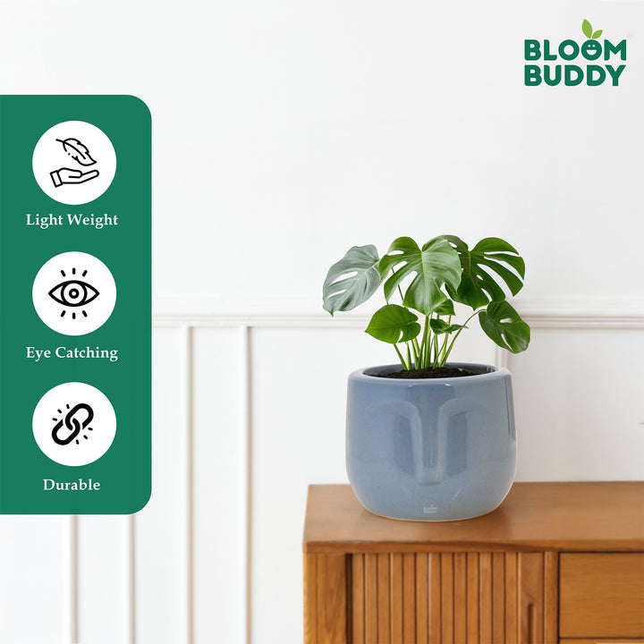 Bloom Buddy Elegant Ceramic Style Indoor Plant Pot | Modern Decorative ...