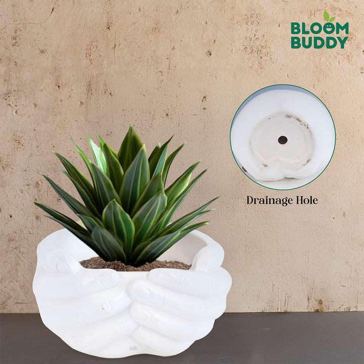 Bloom Buddy White Ceramic Hand Planter Pot for Indoor Plants | Decorat ...
