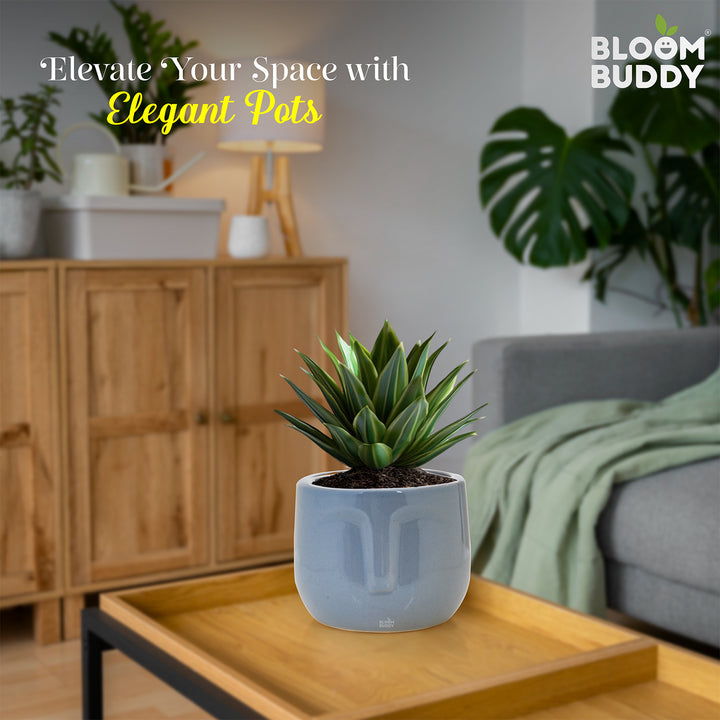 Bloom Buddy Elegant Ceramic Style Indoor Plant Pot | Modern Decorative ...