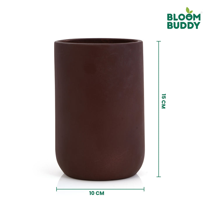 Bloom Buddy Indoor Decorative Plant with Premium Brown Planter Pot for ...