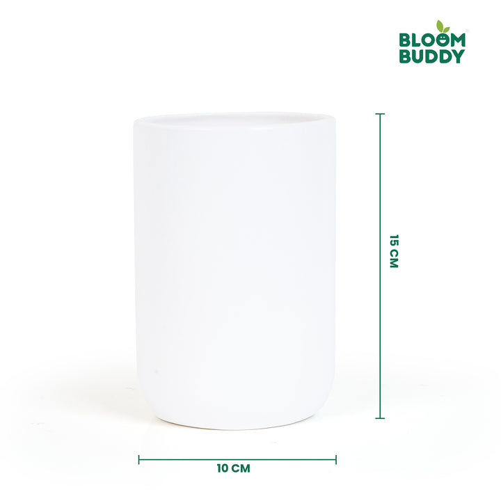 Bloom Buddy Indoor Decorative Plant in Premium White Pot for Modern Ho ...