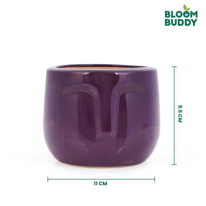 Bloom Buddy Ceramic Style Succulent Pot for Indoor Plants | Modern Dec ...
